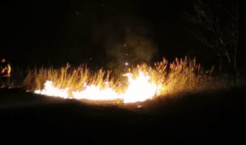 Incendiu de vegetație la marginea municipiului Dorohoi. 13 hectare distruse de flăcări - FOTO