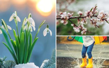 Se răcește vremea în toată …