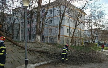 Pompierii botoșăneni continuă să intervină …