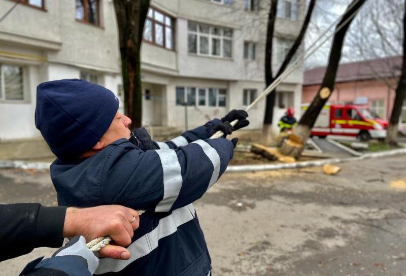 Un copac scos din rădăcini de vântul puternic punea în pericol siguranța oamenilor - FOTO