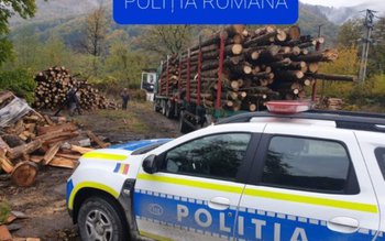 Trafic ilegal cu lemne! Polițiștii …