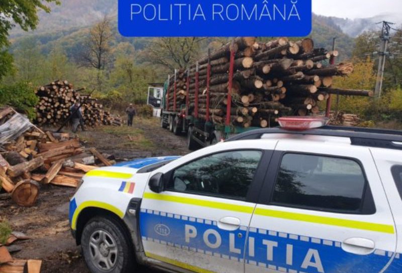 Trafic ilegal cu lemne! Polițiștii botoșăneni au aplicat amenzi și au confiscat material lemnos