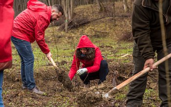 Proiectul „Pentru o Românie Verde” …
