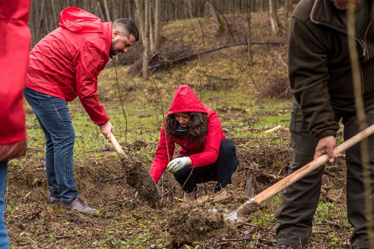 Proiectul „Pentru o Românie Verde” demarat la Botoșani - FOTO