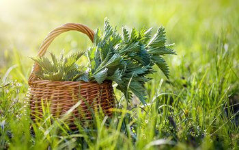 De ce să nu ratăm …