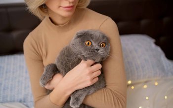 Animalele-vampiri energetici: Pisicile iau energie …