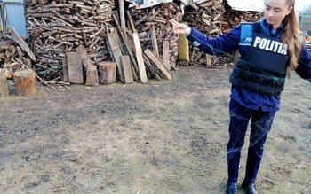 Plase monofilament și ambarcațiuni gonflabile …