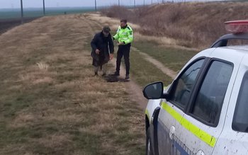 Bărbat rătăcit pe câmp, găsit …