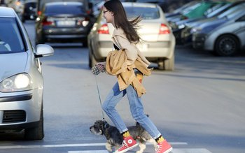 Aproximativ 30 de pietoni sancționați …