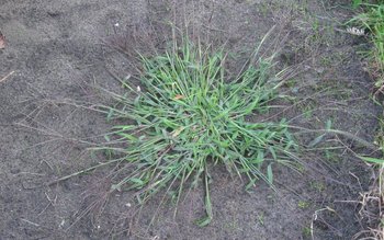 Informație importantă pentru cei care …