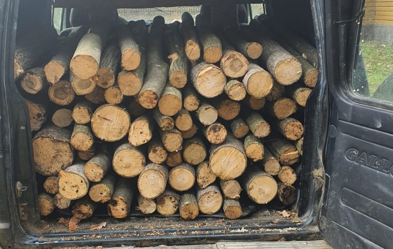 Material lemnos confiscat și amendă pentru transport ilegal de lemne