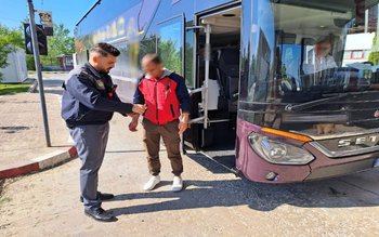 Permis de conducere fals, obținut …