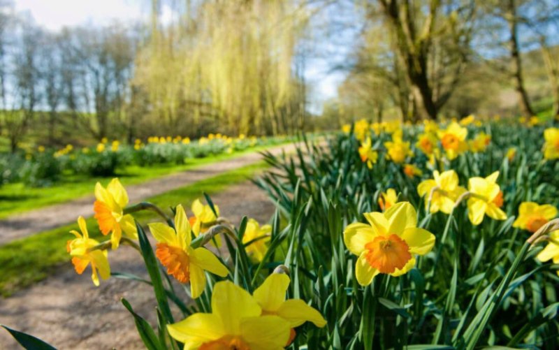 Val de căldură după un weekend cu frig şi ploi. Unde se aşteaptă 29 de grade Celsius