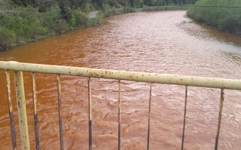 Poluare masivă pe râul Bistrița. …