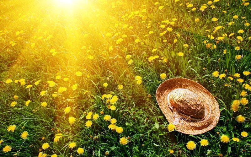 Vine vara, în sfârșit, în România! Cum va fi vremea în minivacanța de Rusalii