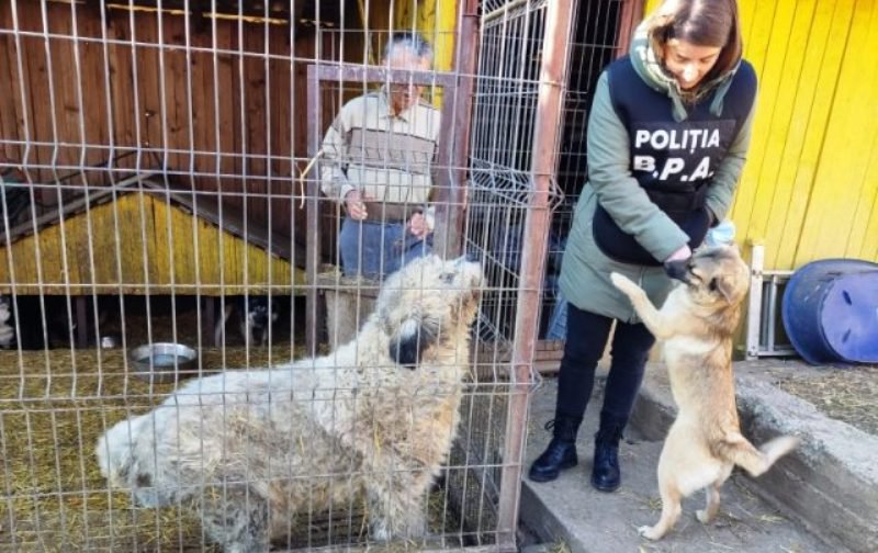 Sancțiuni de 20.000 de lei aplicate de Biroul pentru Protecția Animalelor