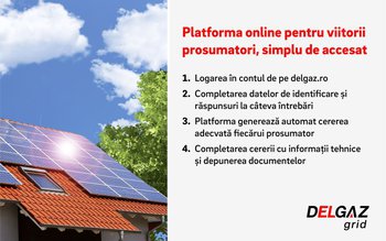 Delgaz Grid a dezvoltat o …