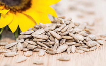 Semințele de floarea soarelui, riscante. …