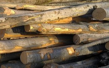 Sancțiune de 4.000 de lei …