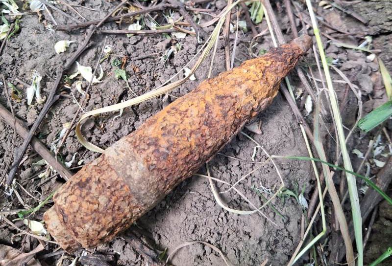 Proiectil exploziv trasor descoperit de un șofer în trunchiul unui copac rupt pe drumul Botoșani-Săveni - FOTO