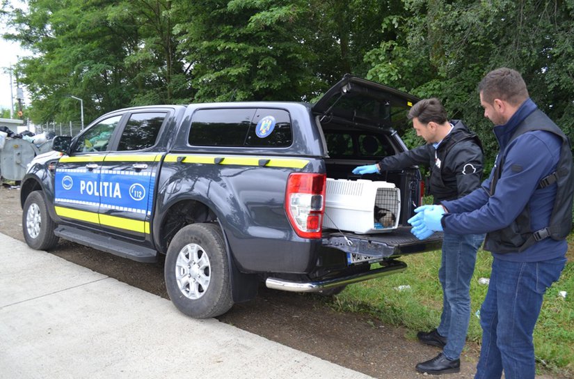 Trei cățeluși care au fost aruncați la ghenă, salvați de polițiști - FOTO