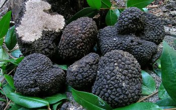 Bărbat sancționat pentru că a …