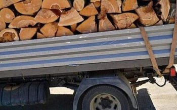 Amendă și material lemnos confiscat …