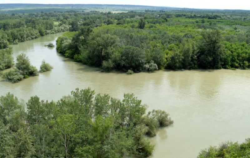 Râul Prut a depășit cota de atenție la Oroftiana și Rădăuți Prut