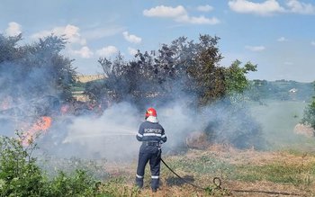 Peste 200 de baloți de …