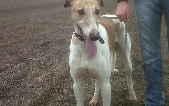 Polițiștii i-au luat la control …