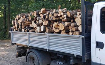 Material lemnos confiscat la nivelul …