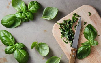 Cum folosim busuiocul în afecțiuni …