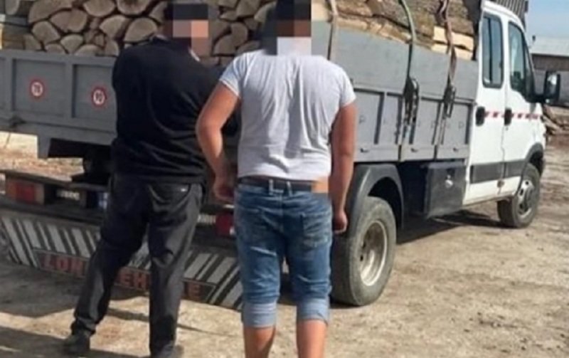 Tânăr prins de polițiști în timp ce transporta material lemnos fără acte