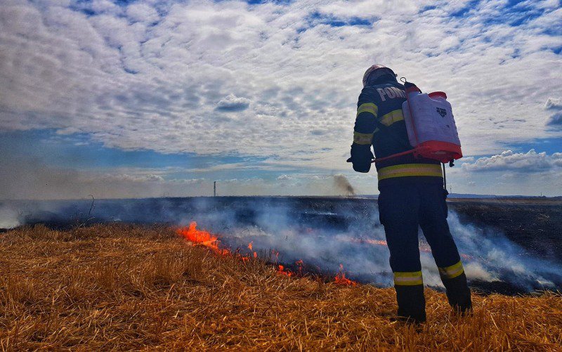 Campanie de recoltare a cerealelor, fără incendii