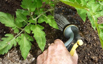 Când și cum este corect …