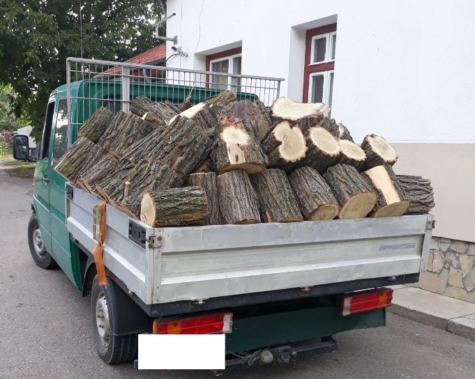 Material lemnos confiscat la Ștefănești