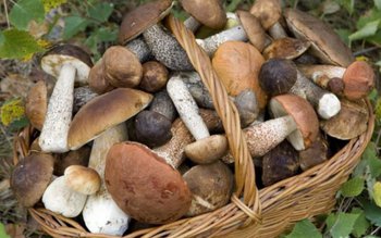 Cum recunoaștem și cum evitam …