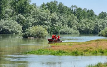 Autorități în alertă! Tânăr de …
