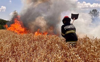 Un autoturism parcat lângă un …