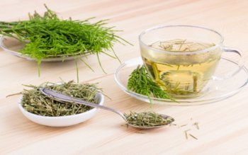 Remedii naturiste din Coada Calului