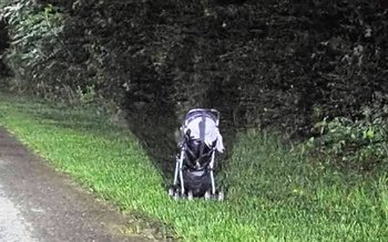 O nouă metodă de tâlhărie: …