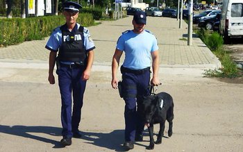 Programul „În siguranţă la volan …