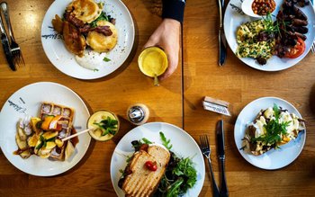 Dieta trebuie să corespundă temperamentului …