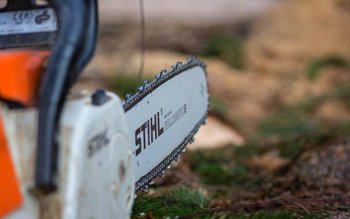 Botoșănean trimis în judecată după …