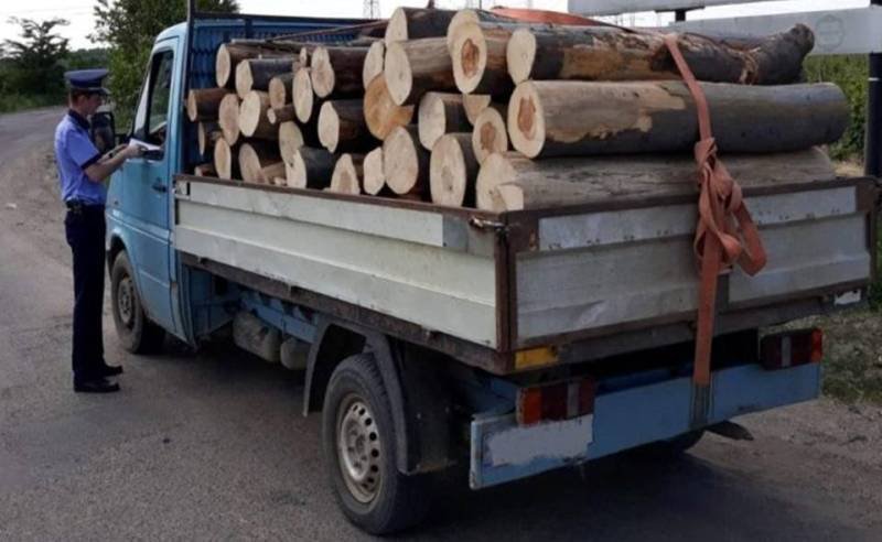 Material lemnos fără documente legale confiscat la Ibănești