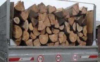 Autoutilitară cu material lemnos fără …