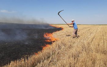 Incendierea vegetației uscate este INTERZISĂ!