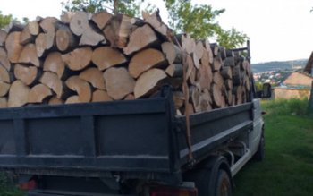Lemne fără documente legale confiscate …