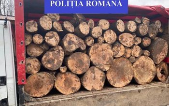 Peste 20 de metri cubi …