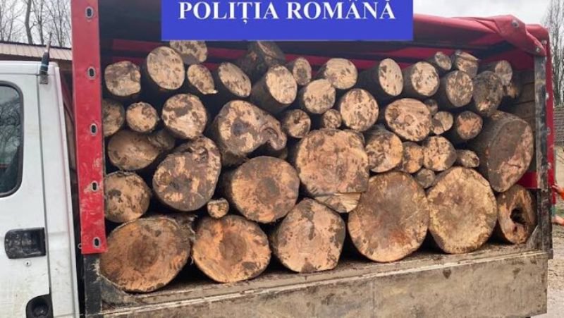 Peste 20 de metri cubi de material lemnos confiscați la Flămânzi